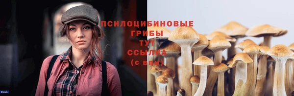 дурь Переславль-Залесский