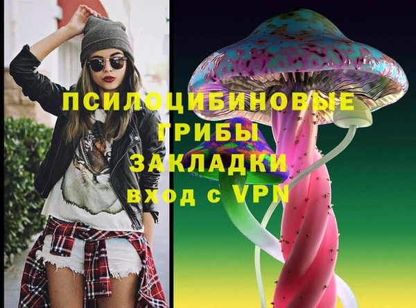 дурь Переславль-Залесский
