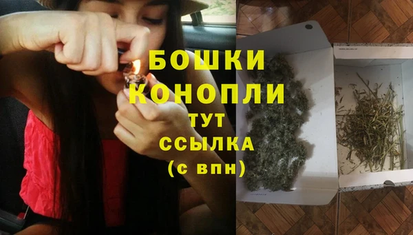 дурь Переславль-Залесский