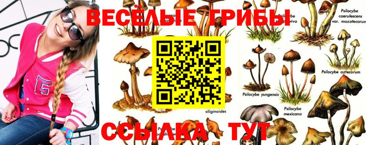 Рославль  Галлюциногенные грибы ЛСД  Вход с VPN 