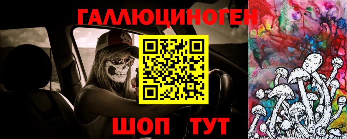 Псилоцибиновые грибы Cubensis Рославль